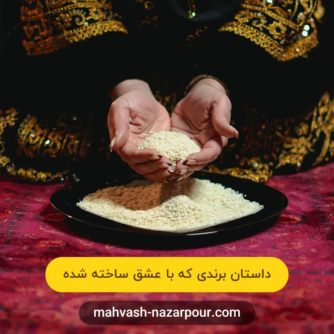 دستان دکتر مهوش نظرپور در حال بررسی کیفیت برنج؛ داستان برندی که با عشق ساخته شده